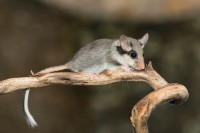 /album/www-lorenzotascon-es/img-2578-jpg/