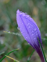 /album/www-lorenzotascon-es/image-d8c6418011-jpg/