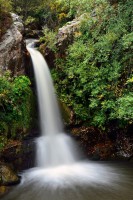 /album/www-lorenzotascon-es/image-nd41018001-jpg/